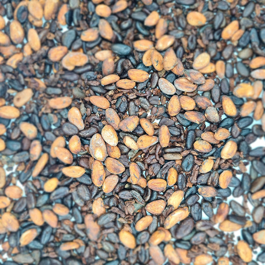 Cacao Beans with Nibs