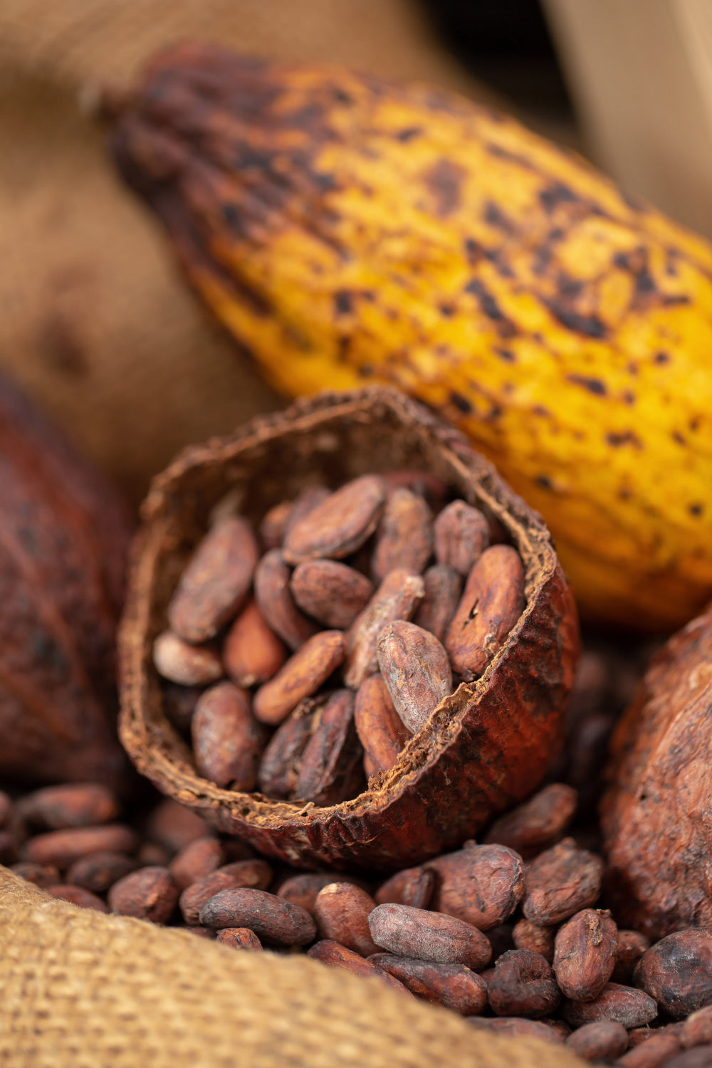 Cacao and its Chemical Structure/Benefits